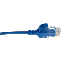 Lot de 10 cordons RJ45 C6...