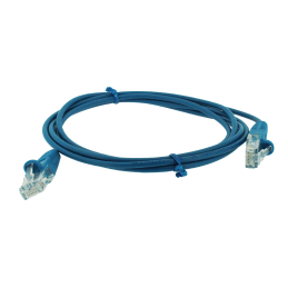 Batch of 5 cords RJ45 1...