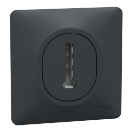 Ovalis - Tomada de telefone...