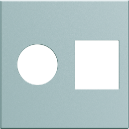 Hubcap Gallery plug TV +...