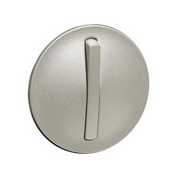 Hubcap titanium for...