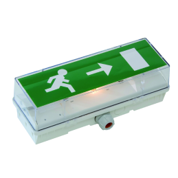 BAES evacuación estándar -...