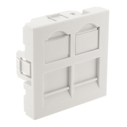 Plastron RJ45 droit 45x45 2...