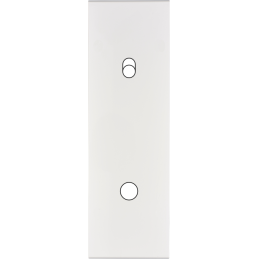 Placa del interruptor...