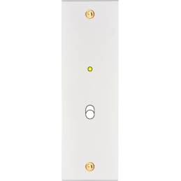 Placa del interruptor...