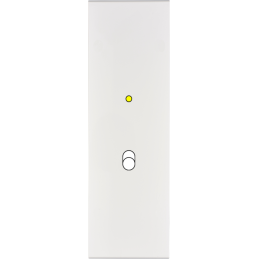 Placa del interruptor...