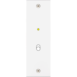 Placa del interruptor...