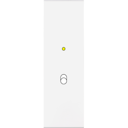 Placa del interruptor...