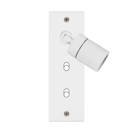 Placa del interruptor...