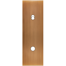 Placa del interruptor...