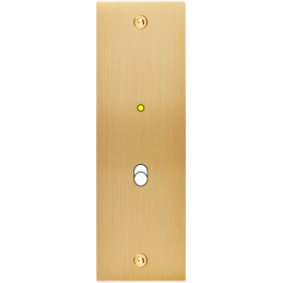 Placa del interruptor...