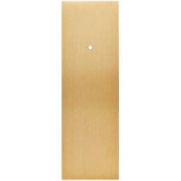 Placa del interruptor...