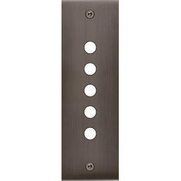 Placa del interruptor...