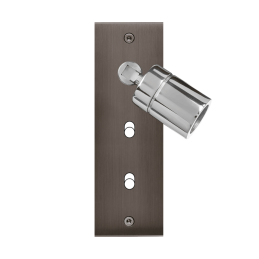 Placa del interruptor...