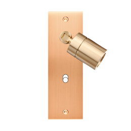 Placa del interruptor...