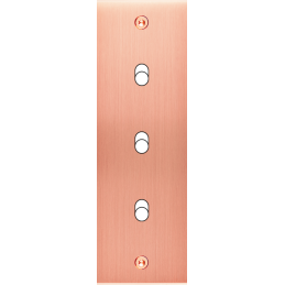 Placa de interrutor...