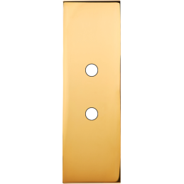 Placa del interruptor...