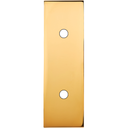 Placa del interruptor...