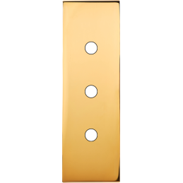 Placa del interruptor...