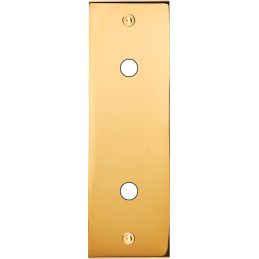 Placa del interruptor...