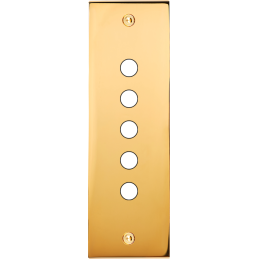 Placa del interruptor...