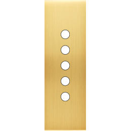 Placa del interruptor...