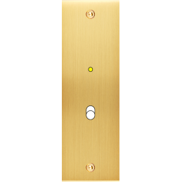 Placa del interruptor...