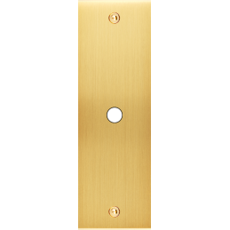 Placa del interruptor...