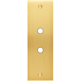 Placa del interruptor...