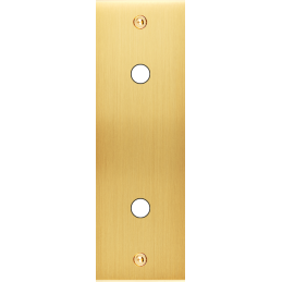 Façade Confidence laiton...