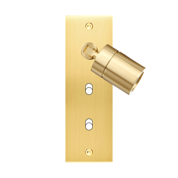 Switch plate Confidence...