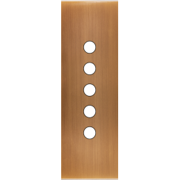 Placa del interruptor...