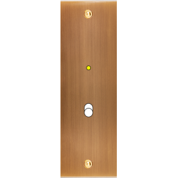 Placa del interruptor...