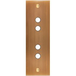 Placa del interruptor...