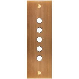 Placa del interruptor...