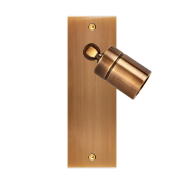 Switch plate Confidence...