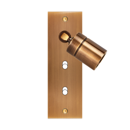 Switch plate Confidence...