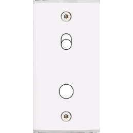 Placa del interruptor...