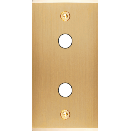 Placa del interruptor...