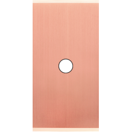 Placa del interruptor...