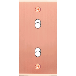 Placa del interruptor...