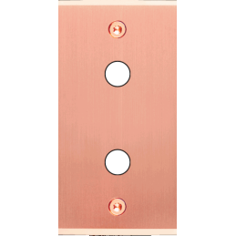 Placa del interruptor...