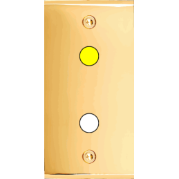 Placa del interruptor...