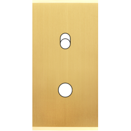 Placa del interruptor...