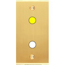 Placa del interruptor...