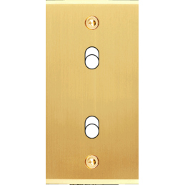 Placa del interruptor...