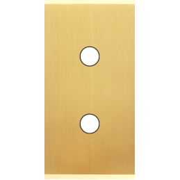 Placa del interruptor...