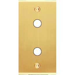 Placa de interrutor...