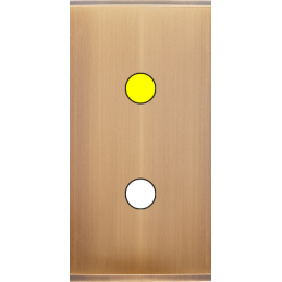 Placa del interruptor...