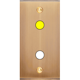 Placa del interruptor...